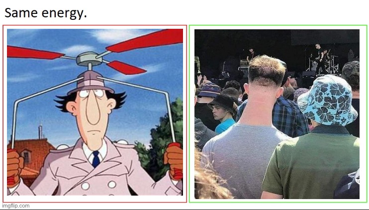 Go go gadget neck | image tagged in same energy,concert,neck,fly | made w/ Imgflip meme maker