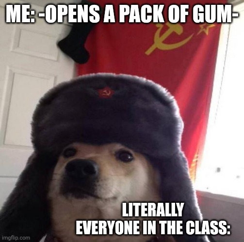 Russian Doge | ME: -OPENS A PACK OF GUM-; LITERALLY EVERYONE IN THE CLASS: | image tagged in russian doge,high school,russia,in soviet russia,communism,dog | made w/ Imgflip meme maker