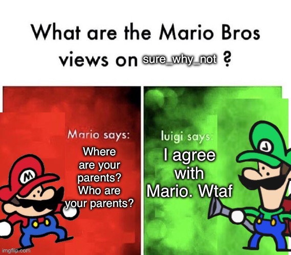 TerminalMontage Mario Bros Views | sure_why_not; Where are your parents? Who are your parents? I agree with Mario. Wtaf | image tagged in terminalmontage mario bros views | made w/ Imgflip meme maker