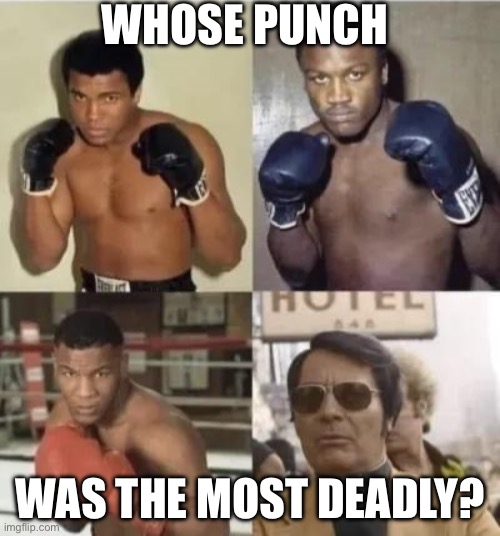A real killer punch | WHOSE PUNCH; WAS THE MOST DEADLY? | image tagged in killer,deadly,punch | made w/ Imgflip meme maker
