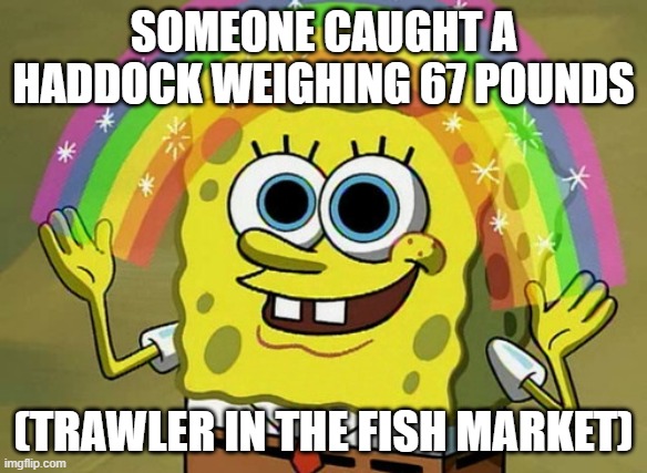 Spongebob with a rainbow, enchanted by the fact that someone caught a haddock weighing 67 pounds