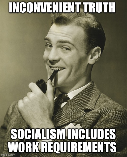 INCONVENIENT TRUTH SOCIALISM INCLUDES WORK REQUIREMENTS | image tagged in smug | made w/ Imgflip meme maker