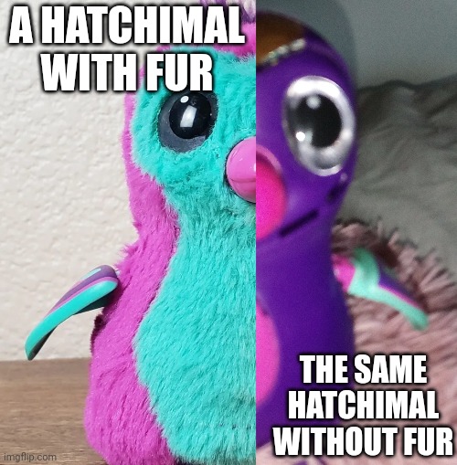 The picture on the right is mine | A HATCHIMAL WITH FUR; THE SAME HATCHIMAL WITHOUT FUR | made w/ Imgflip meme maker
