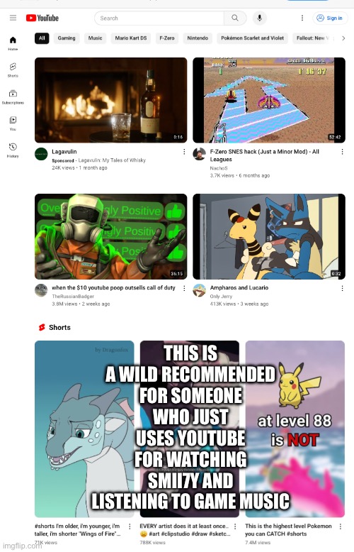 Russian badger is funny too | THIS IS A WILD RECOMMENDED FOR SOMEONE WHO JUST USES YOUTUBE FOR WATCHING SMII7Y AND LISTENING TO GAME MUSIC | made w/ Imgflip meme maker