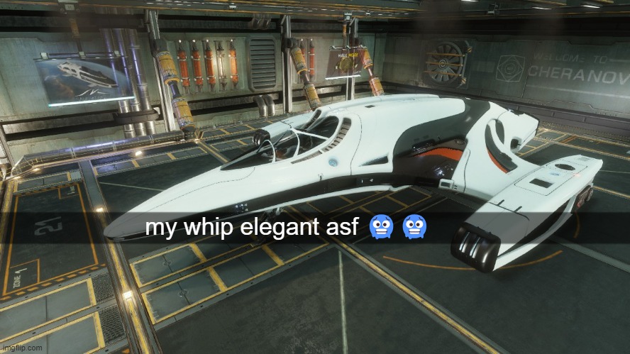 i have since gotten a krait 2 as my main combat vessel but i love this ship sm | my whip elegant asf 🥶🥶 | made w/ Imgflip meme maker
