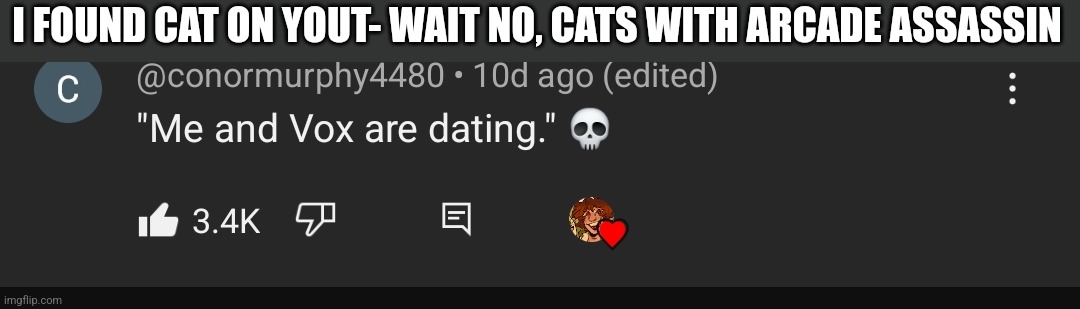 I FOUND CAT ON YOUT- WAIT NO, CATS WITH ARCADE ASSASSIN | made w/ Imgflip meme maker