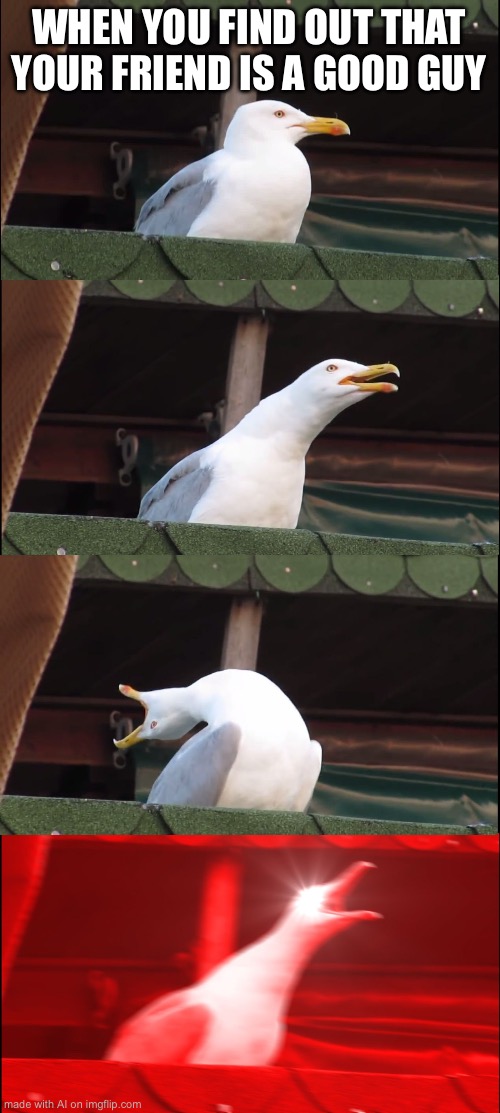Inhaling Seagull | WHEN YOU FIND OUT THAT YOUR FRIEND IS A GOOD GUY | image tagged in memes,inhaling seagull | made w/ Imgflip meme maker