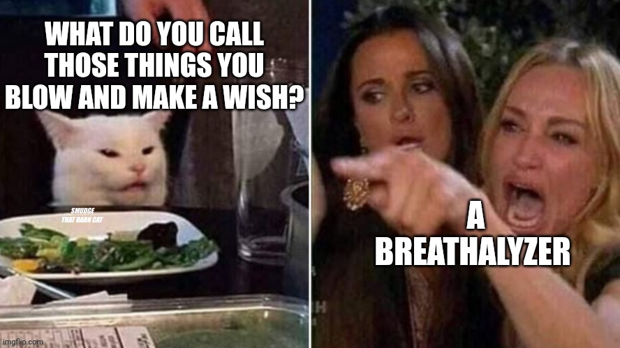 Reverse Smudge that darn cat | WHAT DO YOU CALL THOSE THINGS YOU BLOW AND MAKE A WISH? A BREATHALYZER | image tagged in reverse smudge that darn cat | made w/ Imgflip meme maker