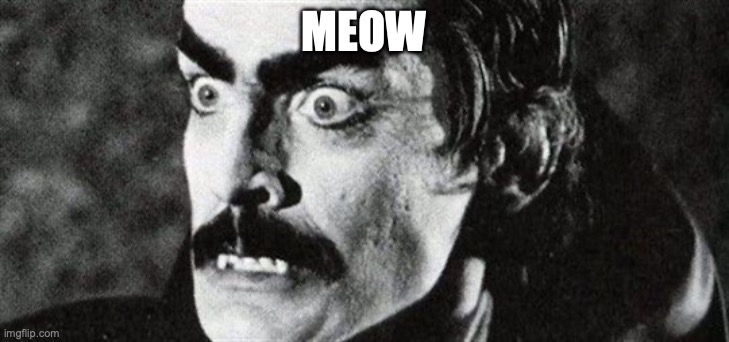 deafula | MEOW | image tagged in deafula | made w/ Imgflip meme maker