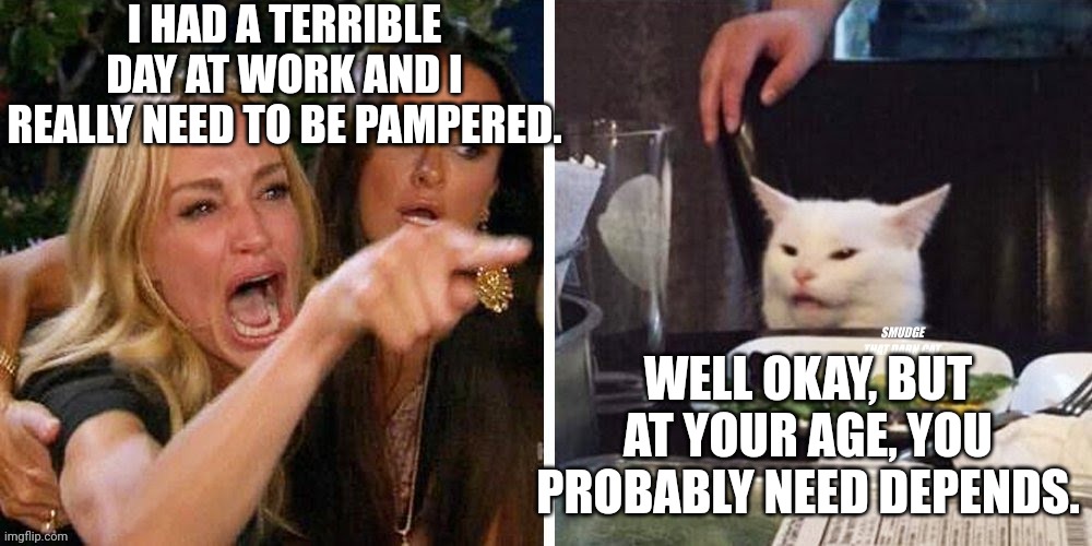 Smudge that darn cat with Karen | I HAD A TERRIBLE DAY AT WORK AND I REALLY NEED TO BE PAMPERED. WELL OKAY, BUT AT YOUR AGE, YOU PROBABLY NEED DEPENDS. | image tagged in smudge that darn cat with karen | made w/ Imgflip meme maker