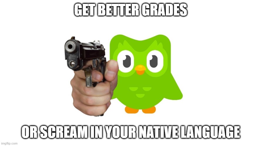Duolingo with gun | GET BETTER GRADES; OR SCREAM IN YOUR NATIVE LANGUAGE | image tagged in duolingo with gun | made w/ Imgflip meme maker