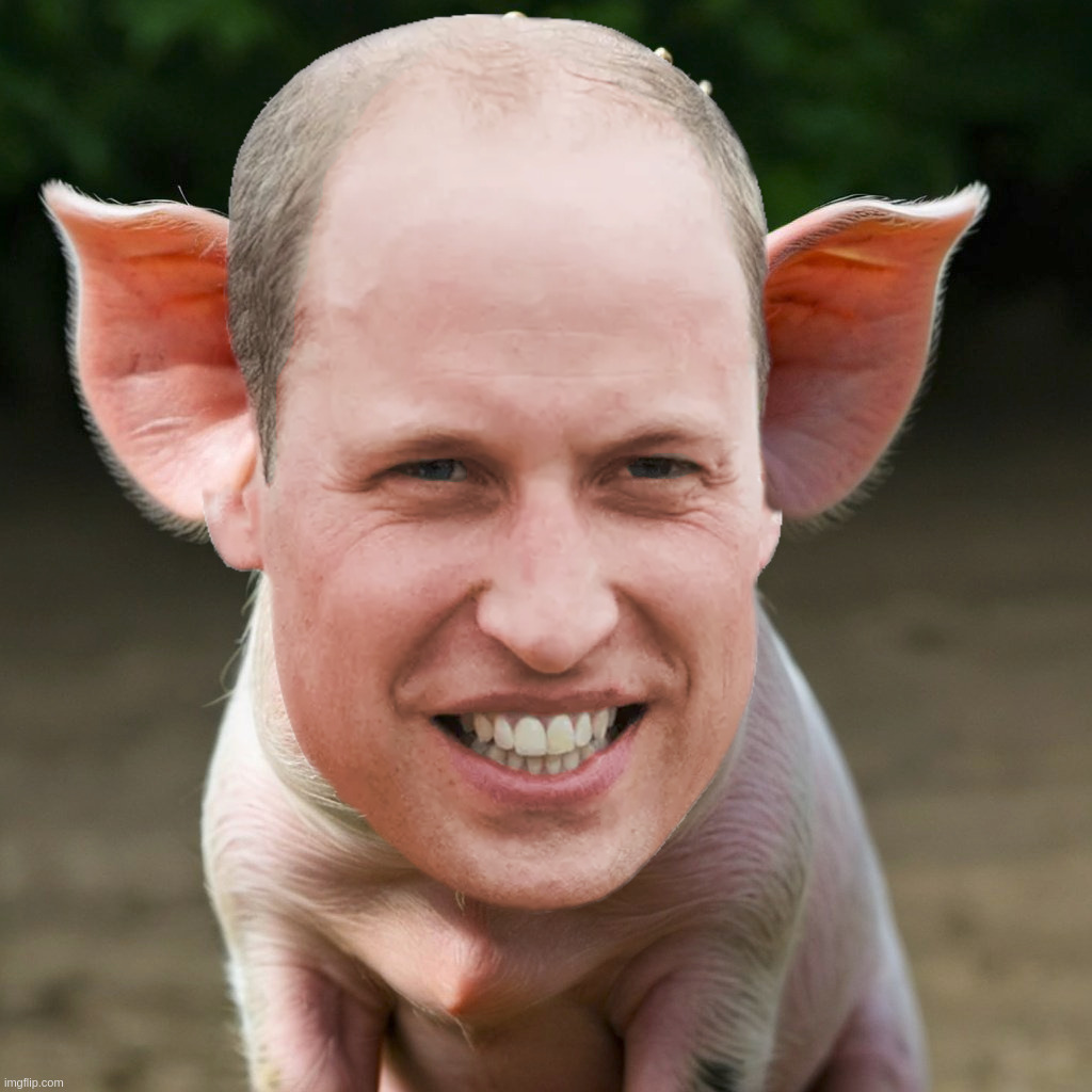 Prince of Swine William W | image tagged in prince,swine,william,w,pig,windsor | made w/ Imgflip meme maker