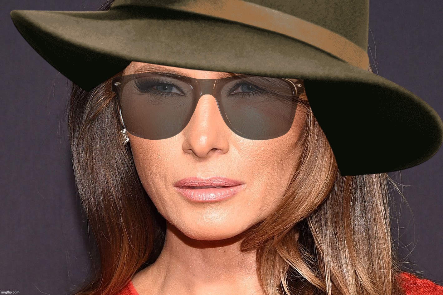 Melania Trump, incognito, but not divorced. Yet. | image tagged in melania trump,trump,incognito,melania,porn again christian | made w/ Imgflip meme maker