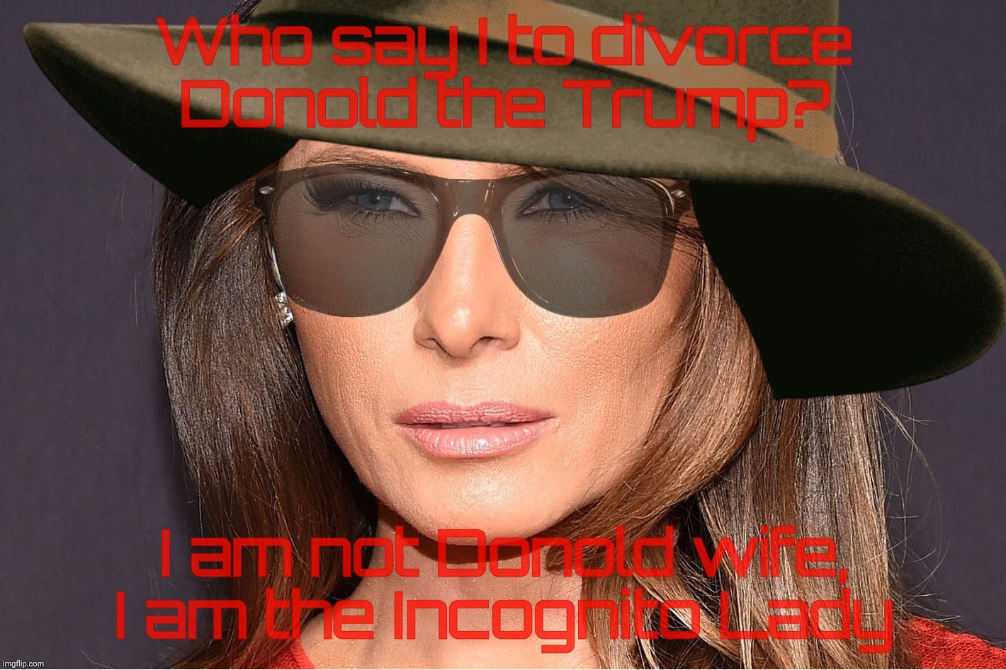 Divorce imminent? Come on, that was so 2015! | Who say I to divorce
Donold the Trump? I am not Donold wife,
I am the Incognito Lady | image tagged in melania trump,donald trump,trump,missing in distraction,gone shopping,don't worry honey i'll be home soon | made w/ Imgflip meme maker