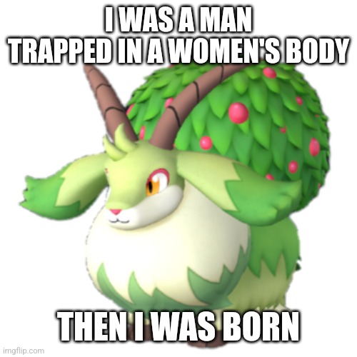 Caprity | I WAS A MAN TRAPPED IN A WOMEN'S BODY; THEN I WAS BORN | image tagged in caprity | made w/ Imgflip meme maker