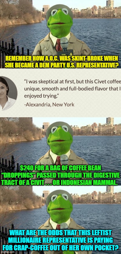 The violent history of Marxism is that only the leaders live well.  Vote Democrat, eh? | REMEMBER HOW A.O.C. WAS SKINT-BROKE WHEN SHE BECAME A DEM PARTY U.S. REPRESENTATIVE? $240 FOR A BAG OF COFFEE BEAN “DROPPINGS” PASSED THROUGH THE DIGESTIVE TRACT OF A CIVIT . . . OR INDONESIAN MAMMAL. WHAT ARE THE ODDS THAT THIS LEFTIST MILLIONAIRE REPRESENTATIVE IS PAYING FOR CRAP-COFFEE OUT OF HER OWN POCKET? | image tagged in kermit news report | made w/ Imgflip meme maker
