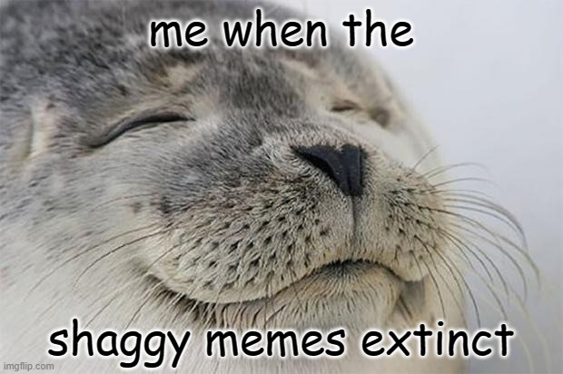 im so glad that goofy ahh unfunny mui shaggy memes has died out since 2019 | me when the; shaggy memes extinct | image tagged in memes,satisfied seal | made w/ Imgflip meme maker