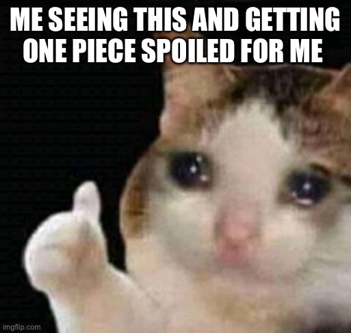 sad thumbs up cat | ME SEEING THIS AND GETTING ONE PIECE SPOILED FOR ME | image tagged in sad thumbs up cat | made w/ Imgflip meme maker