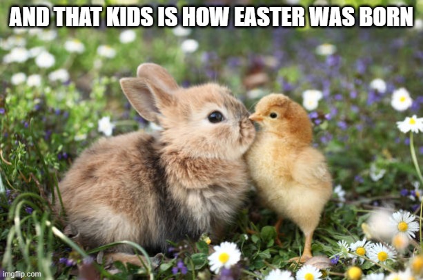 Easter | AND THAT KIDS IS HOW EASTER WAS BORN | image tagged in bunnies | made w/ Imgflip meme maker