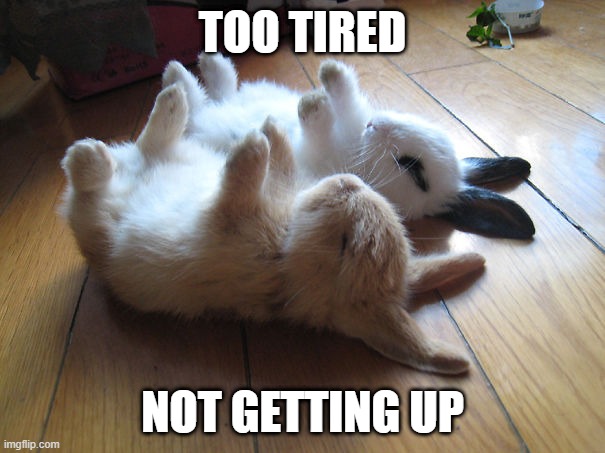 Tired | TOO TIRED; NOT GETTING UP | image tagged in bunnies | made w/ Imgflip meme maker