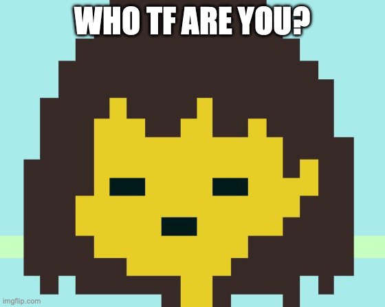 Frisk's face | WHO TF ARE YOU? | image tagged in frisk's face | made w/ Imgflip meme maker