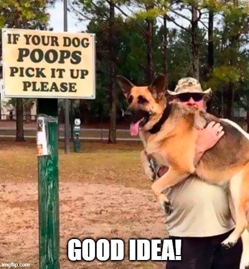 Pick Up | GOOD IDEA! | image tagged in dogs | made w/ Imgflip meme maker