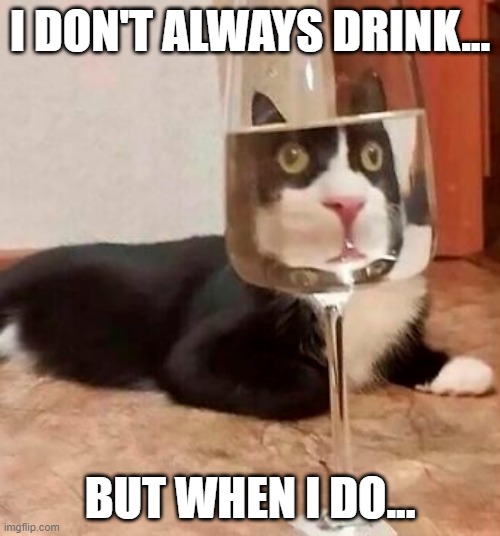Cat Drink | I DON'T ALWAYS DRINK... BUT WHEN I DO... | image tagged in cats | made w/ Imgflip meme maker