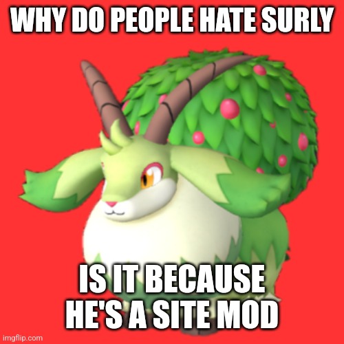 Caprity | WHY DO PEOPLE HATE SURLY; IS IT BECAUSE HE'S A SITE MOD | image tagged in caprity | made w/ Imgflip meme maker