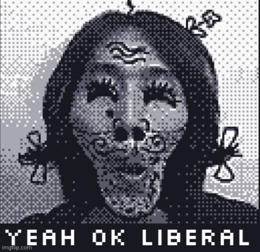 yeah ok liberal - game boy edition | image tagged in yeah ok liberal - game boy edition | made w/ Imgflip meme maker