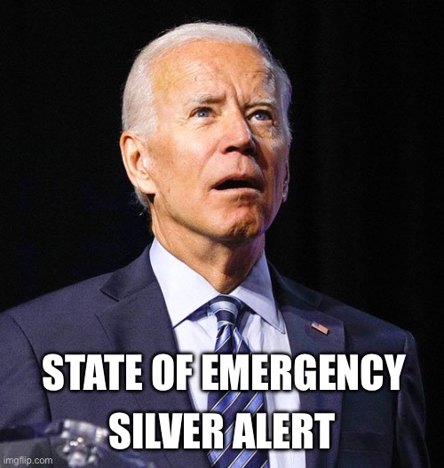 Joe Biden | SILVER ALERT; STATE OF EMERGENCY | image tagged in joe biden | made w/ Imgflip meme maker
