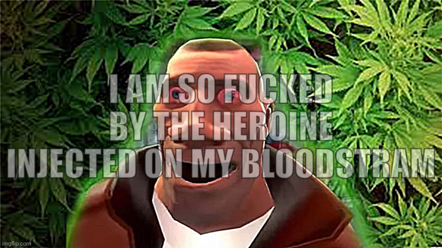 Soldier high | I AM SO FUCKED BY THE HEROINE INJECTED ON MY BLOODSTRAM | image tagged in soldier high | made w/ Imgflip meme maker