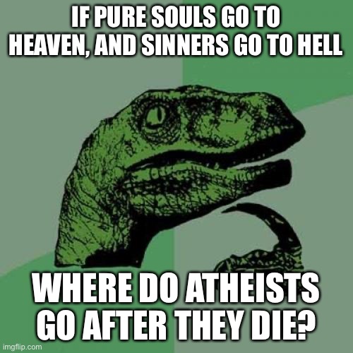 Philosoraptor | IF PURE SOULS GO TO HEAVEN, AND SINNERS GO TO HELL; WHERE DO ATHEISTS GO AFTER THEY DIE? | image tagged in memes,philosoraptor | made w/ Imgflip meme maker