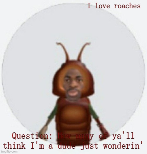 Meow | I love roaches; Question: How many of ya'll think I'm a dude just wonderin' | image tagged in lil naz roach-x announcement temp | made w/ Imgflip meme maker
