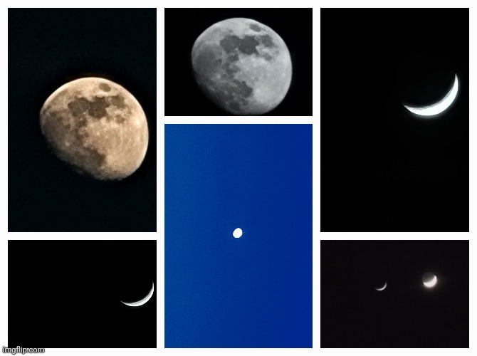 The moon collage, created by me (Memenator note: upped) | image tagged in fresh memes,photography,collage | made w/ Imgflip meme maker