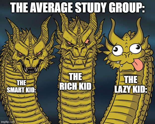 Meme | THE AVERAGE STUDY GROUP:; THE RICH KID; THE LAZY KID:; THE SMART KID: | image tagged in three-headed dragon | made w/ Imgflip meme maker