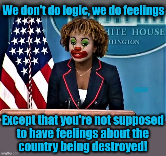 We don't do logic, we do feelings Except that you're not supposed
to have feelings about the
country being destroyed! | image tagged in gray blank,karin jean-pierre the clown | made w/ Imgflip meme maker