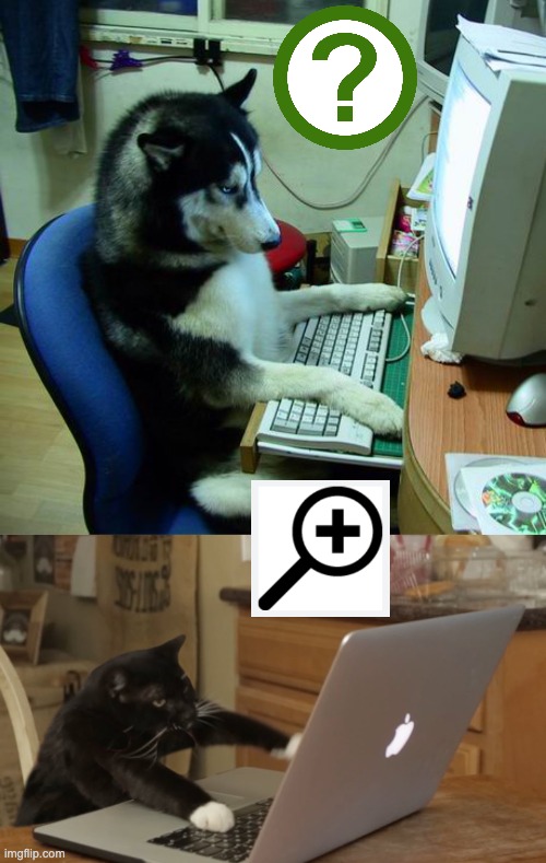 image tagged in memes,i have no idea what i am doing,furiously typing cat,text,tired | made w/ Imgflip meme maker