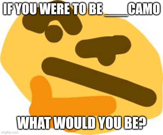 Suggestions: Homocamo, Autocamo, Goofycamo etc | IF YOU WERE TO BE ___CAMO; WHAT WOULD YOU BE? | image tagged in thonk | made w/ Imgflip meme maker