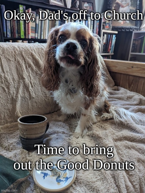 Dad's Gone to Church | Okay, Dad's off to Church; Time to bring out the Good Donuts | image tagged in sunday morning,donuts,charlie donuts | made w/ Imgflip meme maker