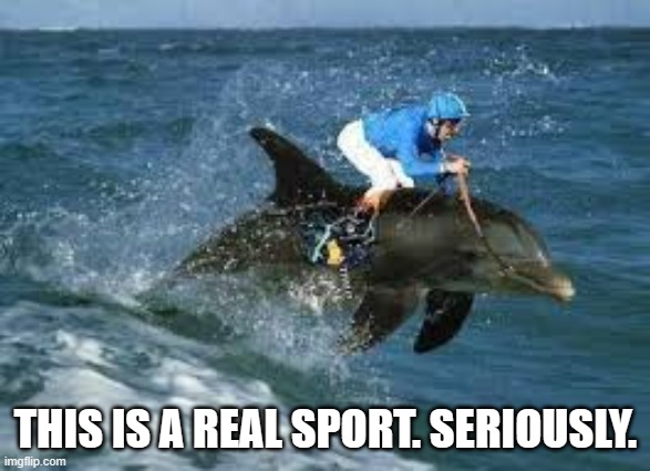 memes by Brad The sport of dolphin riding | THIS IS A REAL SPORT. SERIOUSLY. | image tagged in sports,funny,dolphins,racing,funny meme,humor | made w/ Imgflip meme maker