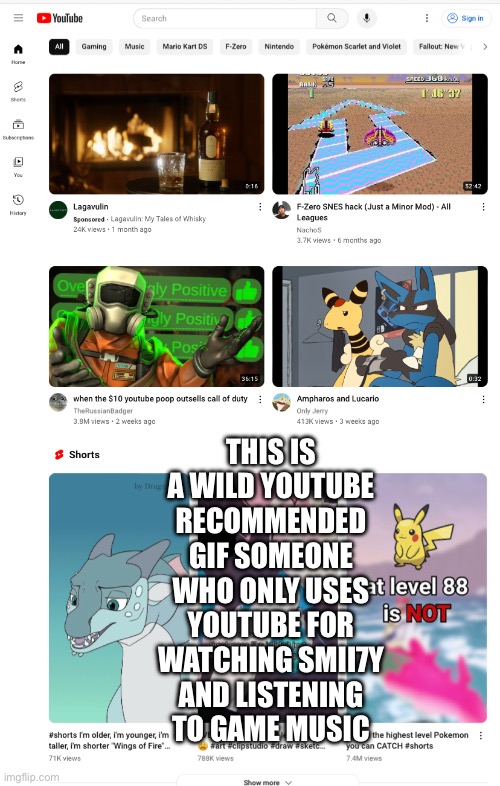 The only one that makes sense is Russianbadger and F-zero lmao. The rest are probably because I visited a hacked animators page. | THIS IS A WILD YOUTUBE RECOMMENDED GIF SOMEONE WHO ONLY USES YOUTUBE FOR WATCHING SMII7Y AND LISTENING TO GAME MUSIC | made w/ Imgflip meme maker
