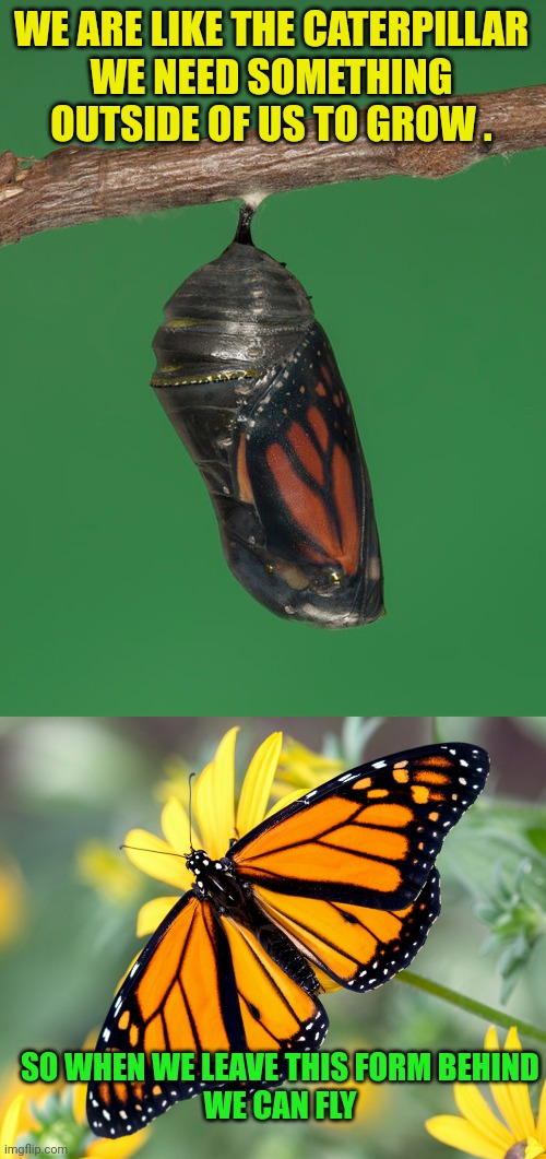 WE ARE LIKE THE CATERPILLAR
WE NEED SOMETHING OUTSIDE OF US TO GROW . SO WHEN WE LEAVE THIS FORM BEHIND
WE CAN FLY | image tagged in monarch butterfly cocoon,monarch butterfly | made w/ Imgflip meme maker
