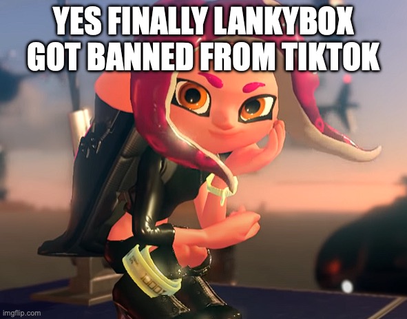 Eight Stare | YES FINALLY LANKYBOX GOT BANNED FROM TIKTOK | image tagged in eight stare | made w/ Imgflip meme maker