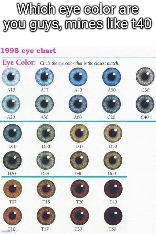 Which eye color are you guys, mines like t40 | made w/ Imgflip meme maker