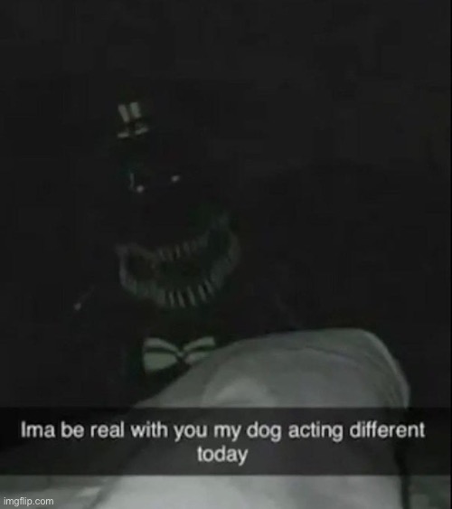 What’s wrong wit my dog | image tagged in five nights at freddys | made w/ Imgflip meme maker