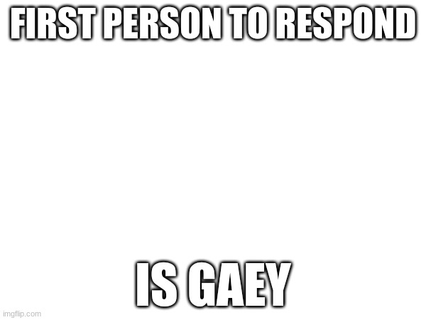 FIRST PERSON TO RESPOND; IS GAEY | image tagged in respond | made w/ Imgflip meme maker