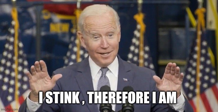 Cocky joe biden | I STINK , THEREFORE I AM | image tagged in cocky joe biden | made w/ Imgflip meme maker