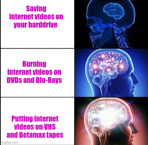 Big Brain Moment | Saving internet videos on your harddrive; Burning internet videos on DVDs and Blu-Rays; Putting internet videos on VHS and Betamax tapes | image tagged in 1000 iq | made w/ Imgflip meme maker