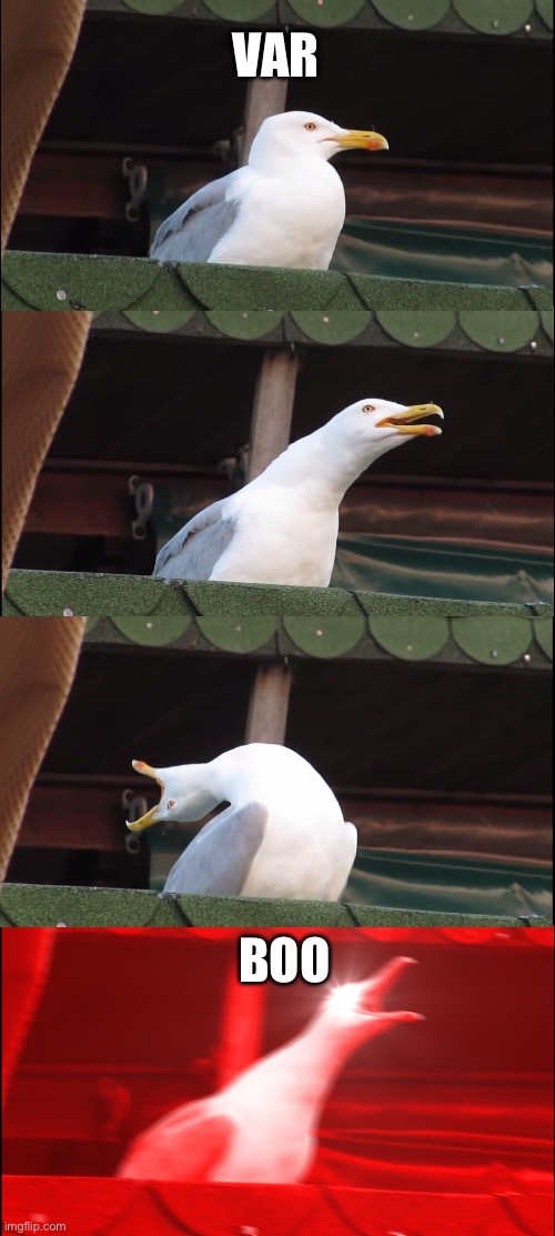 Inhaling Seagull Meme | VAR; BOO | image tagged in memes,inhaling seagull | made w/ Imgflip meme maker