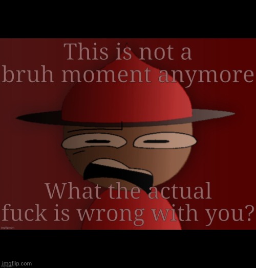 image tagged in not a bruh moment anymore | made w/ Imgflip meme maker